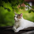 AS_20190525_MG_4557.jpg