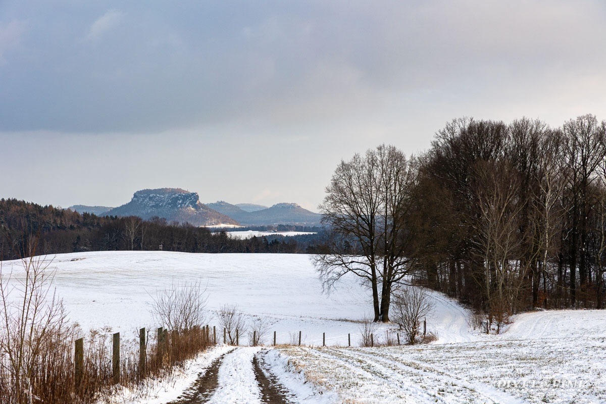 JUS_20250216_MG_2937.jpg